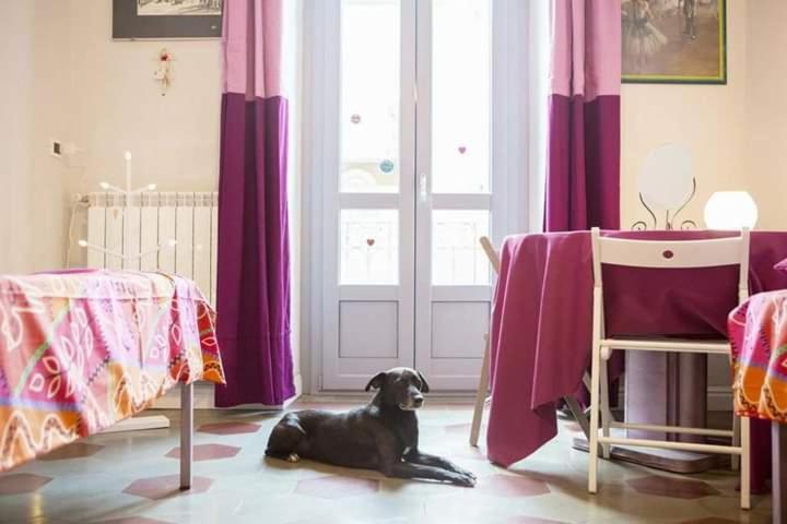 לינה וארוחת בוקר טורינו Casa Dani&Swing Bed&Books מראה חיצוני תמונה